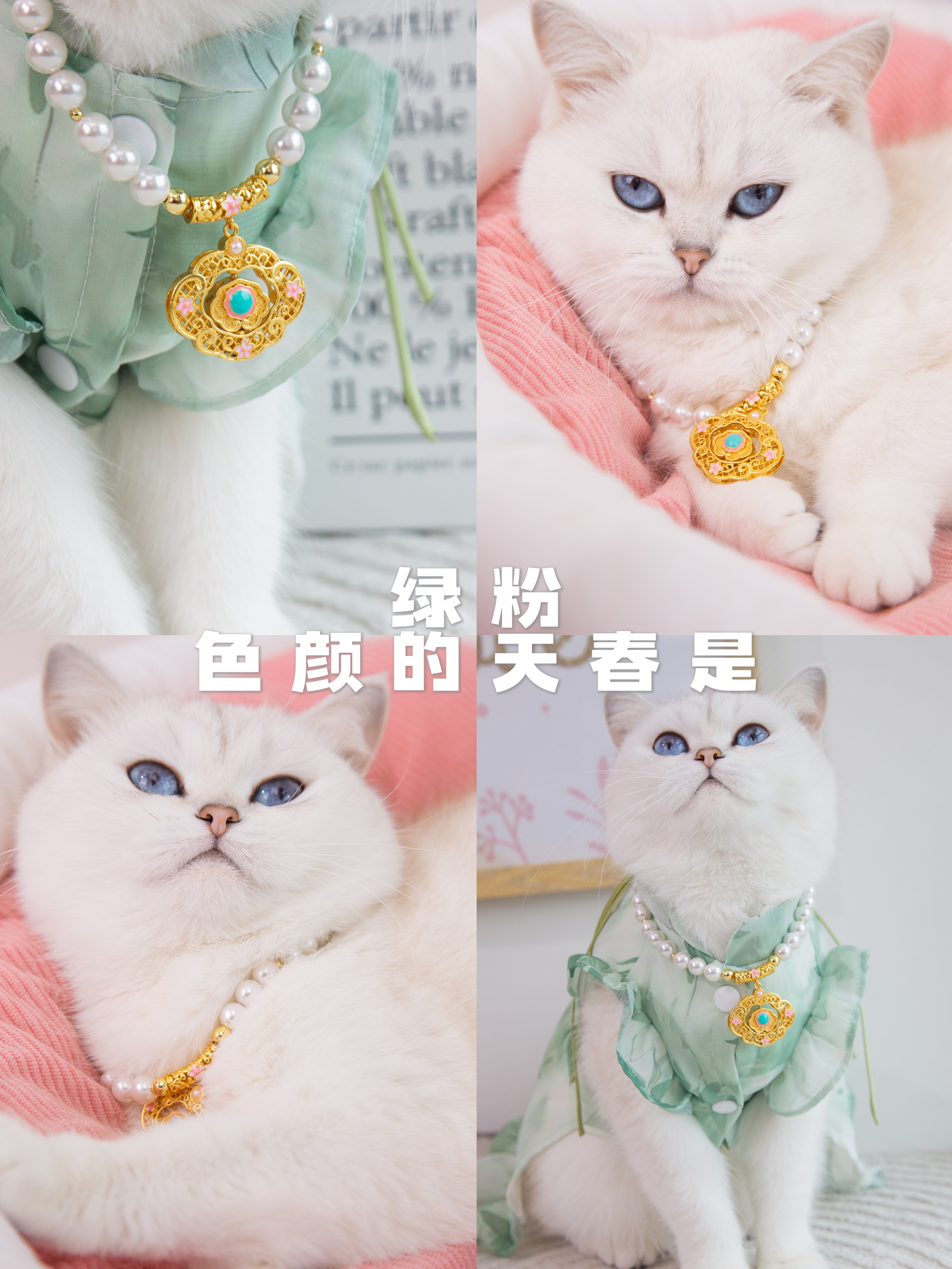 😺粉绿是春天的颜色
