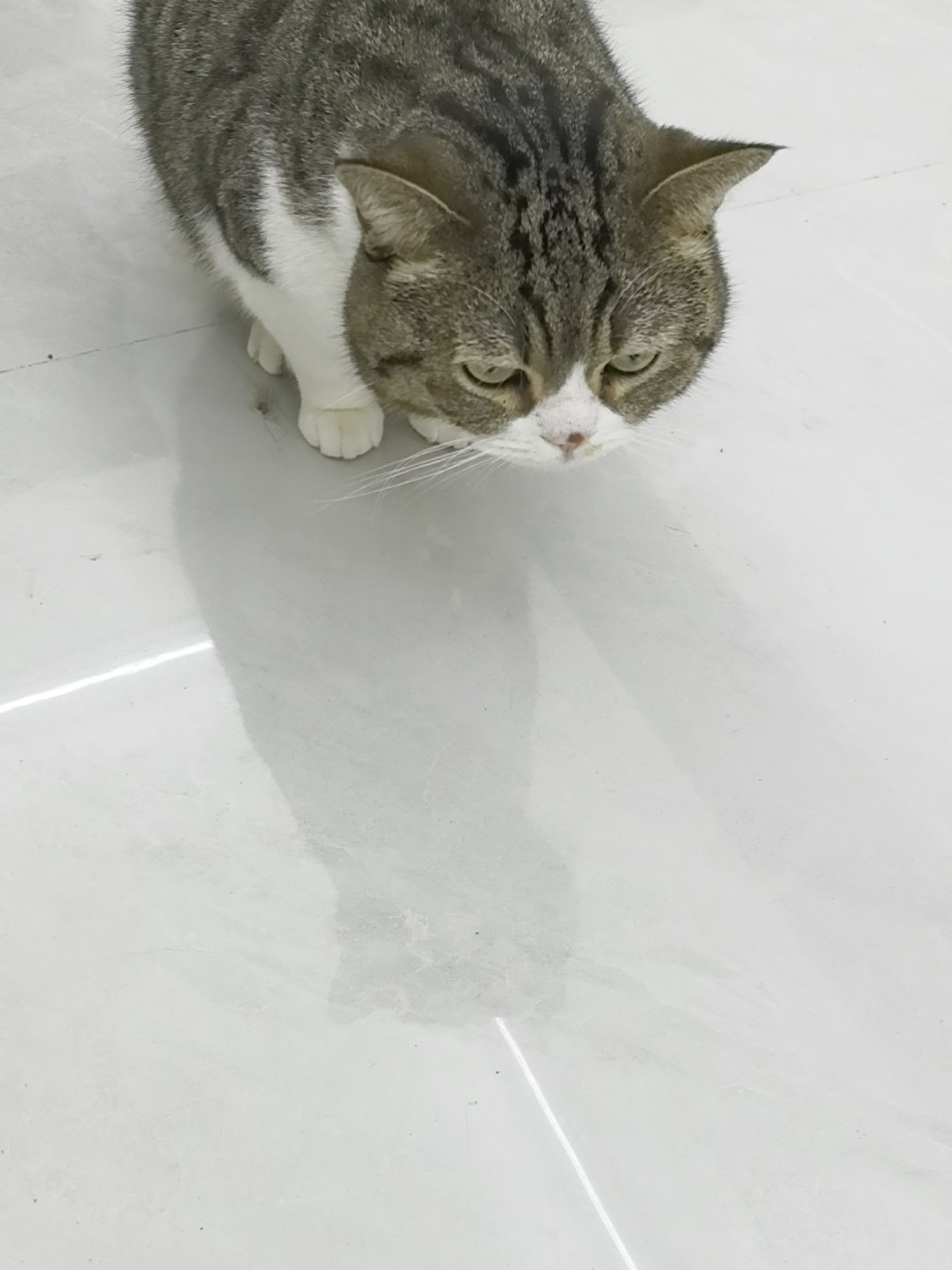 求助！