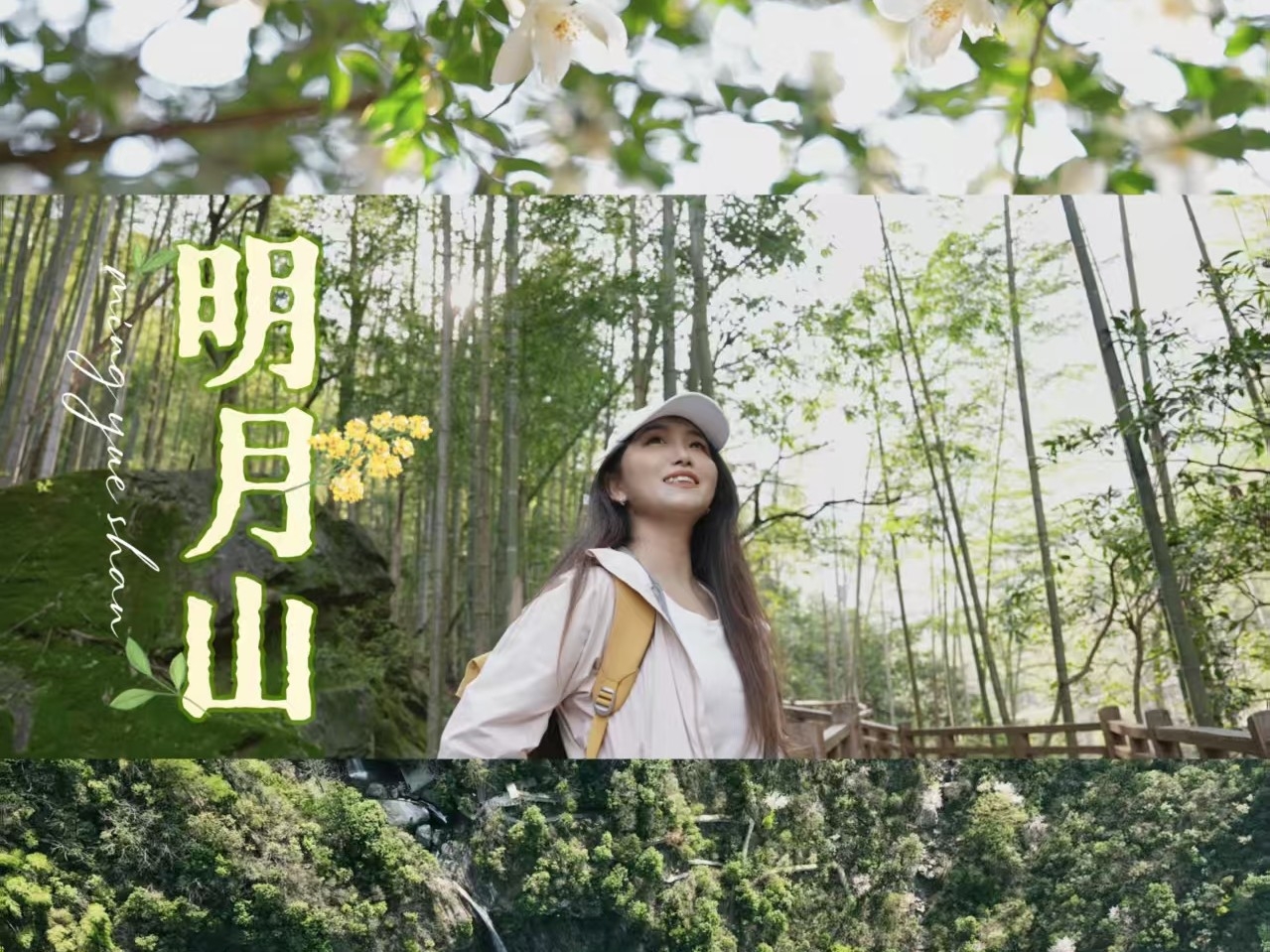 明月山的春天还在竹林绿意里生长 我爱听登山的白噪音 是山间清泉水声 是云谷飞瀑 … #莫以宜春远江山多胜游# #下一程去宜春#