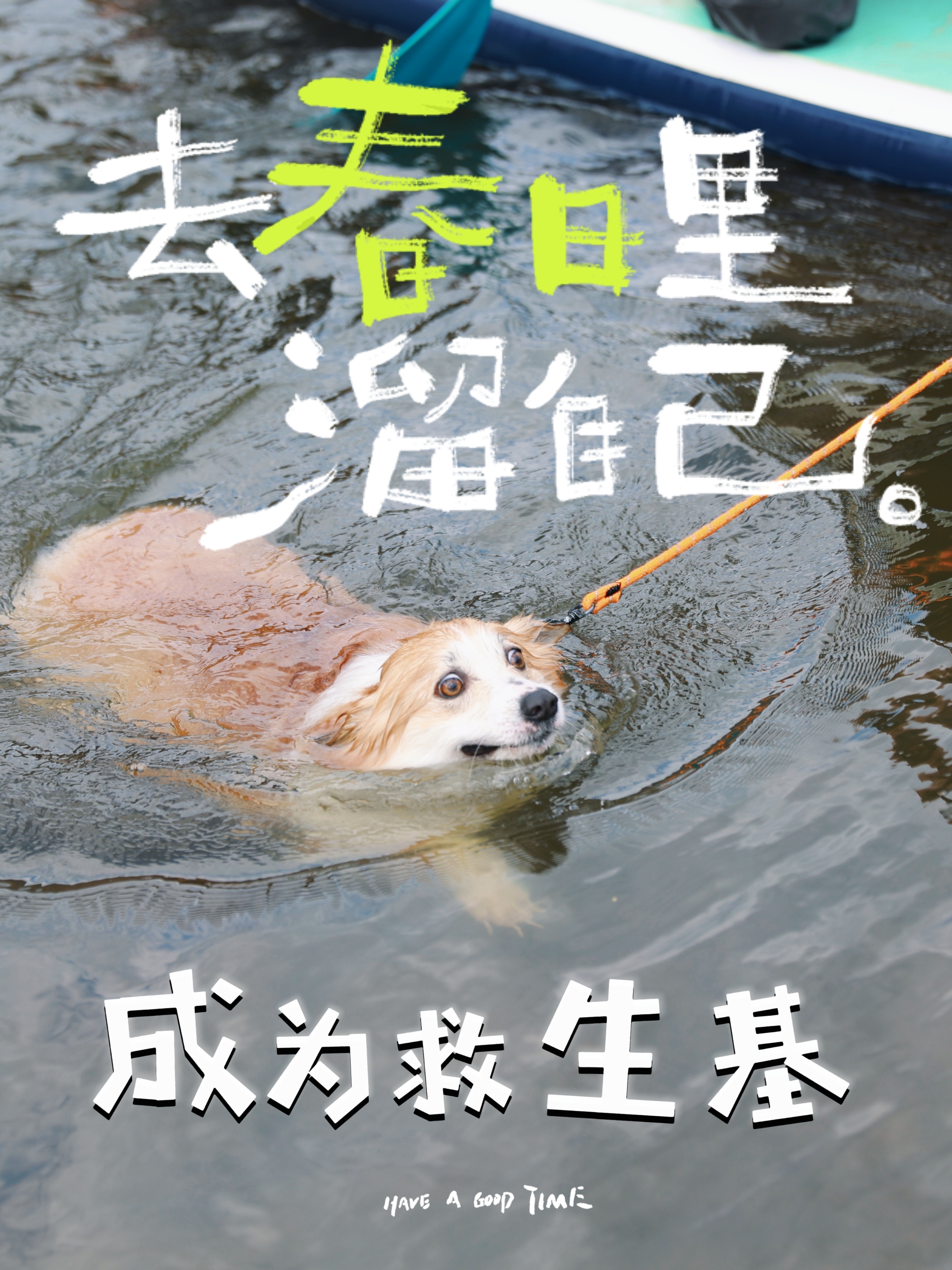 拉船肉松是专业的🏄🏻♀️