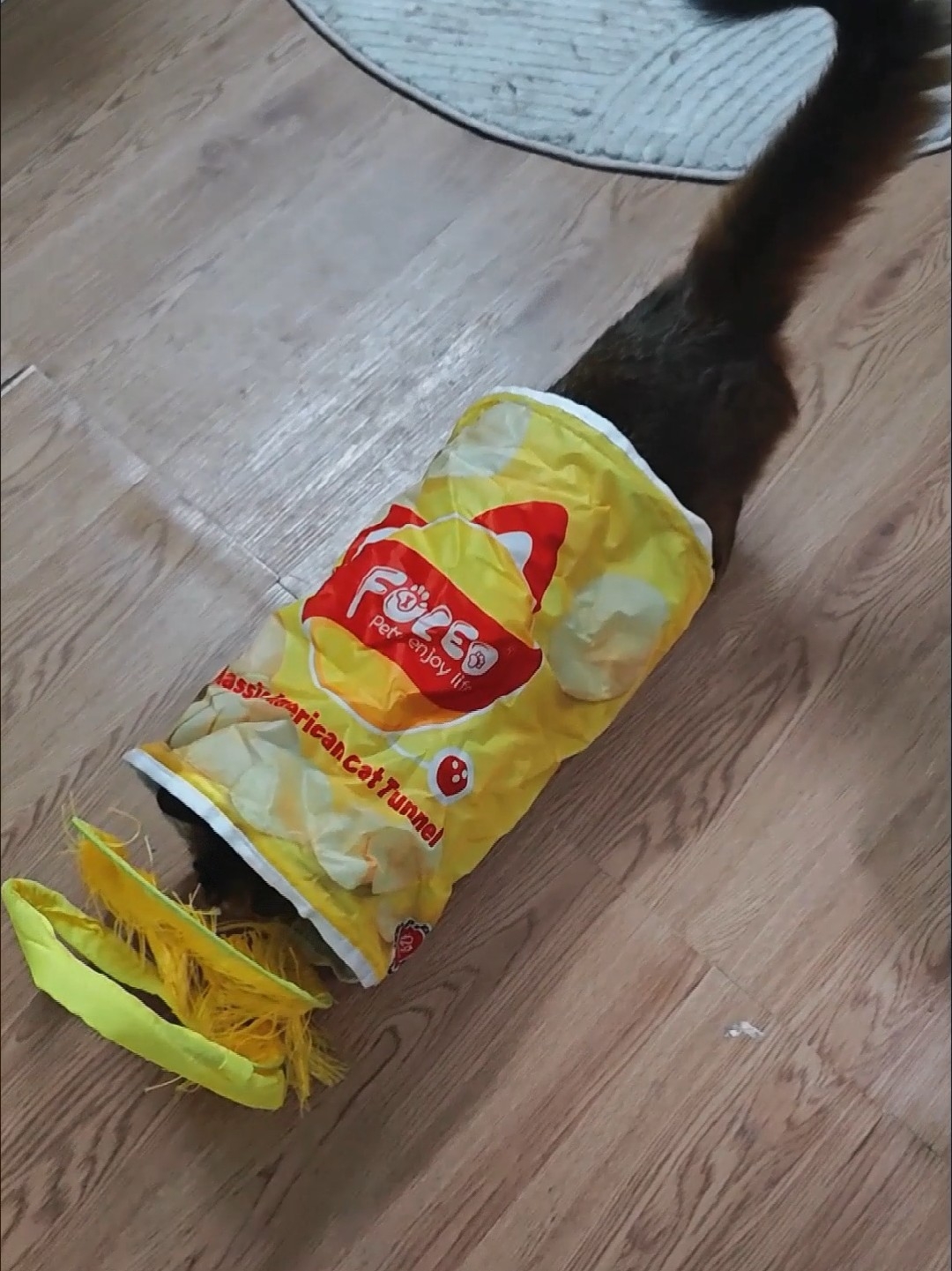 猫咪薯片隧道大作战~