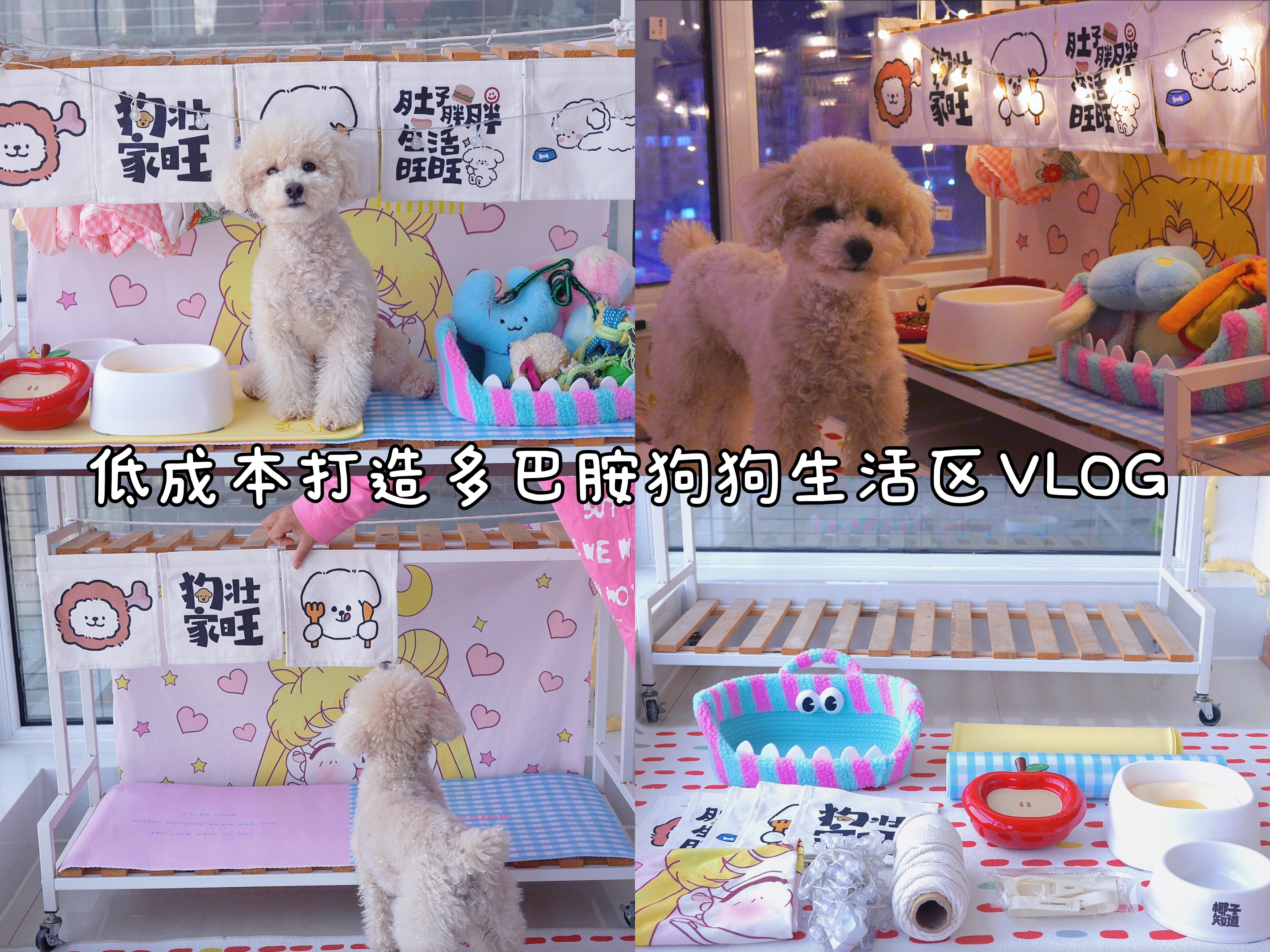 低成本打造狗狗多巴胺生活区