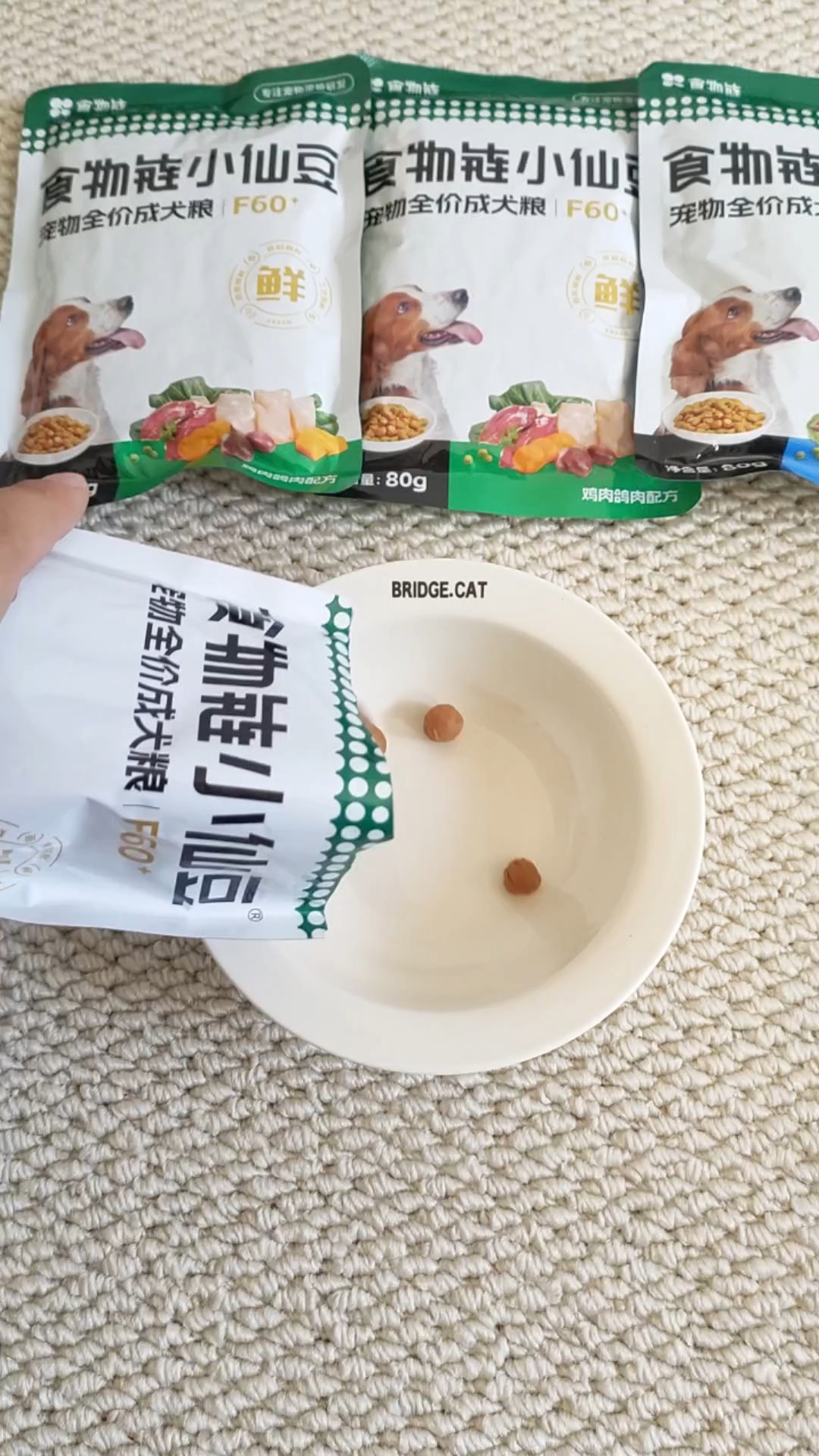 夏天狗狗食欲不好怎么办？