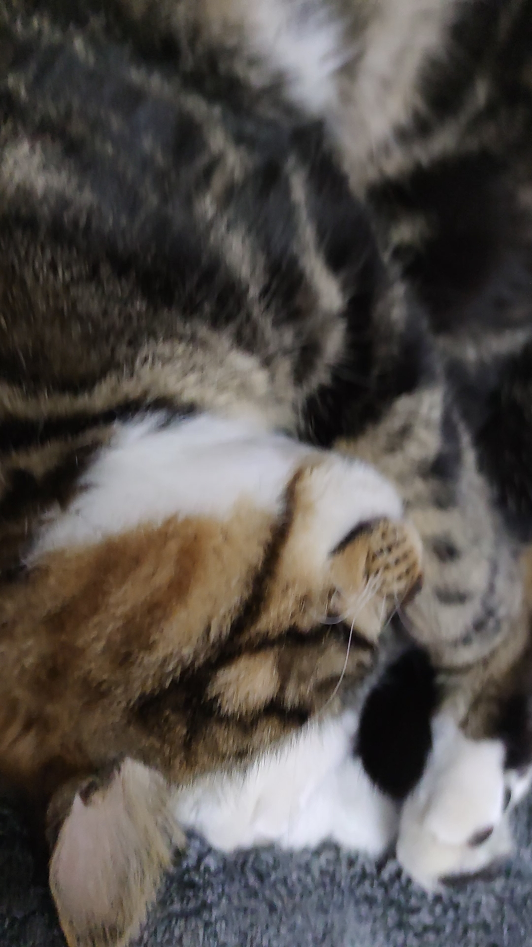 睡觉了