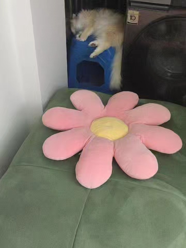 11睡的迷迷糊糊