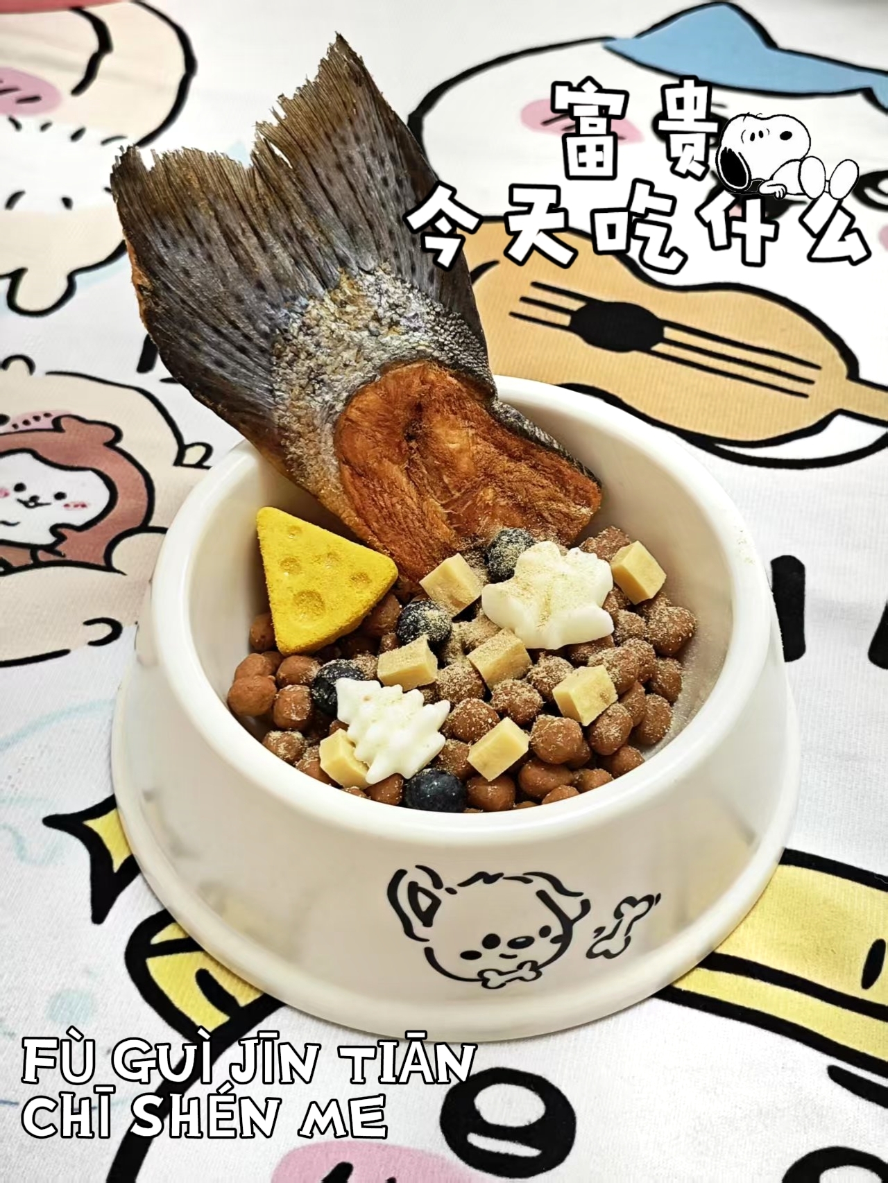 🍖小狗营养餐｜肉丸+风干鲑鱼尾暴风啃！