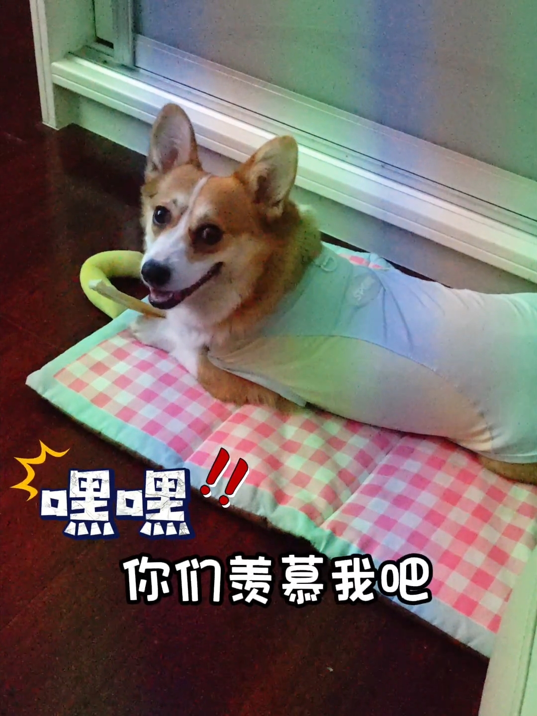惬意啊