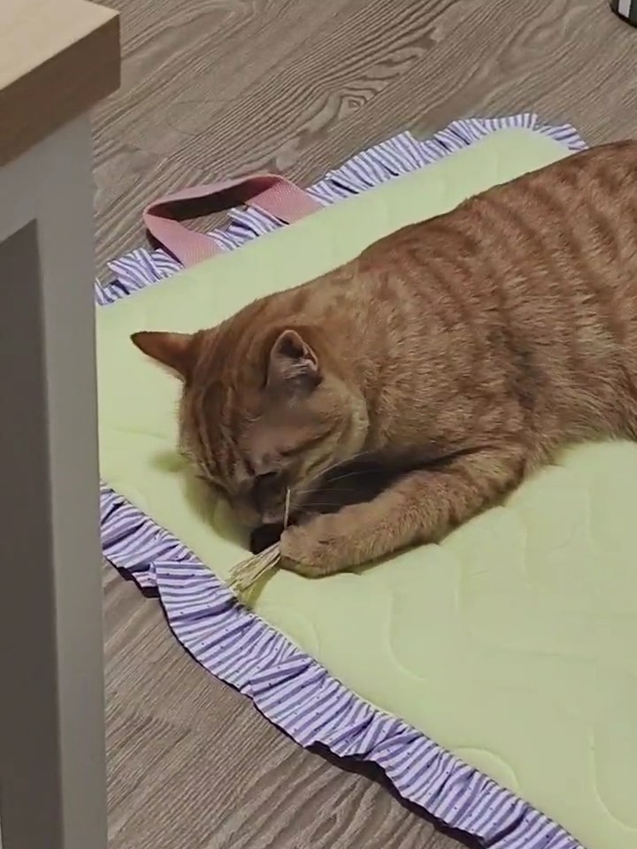 上头