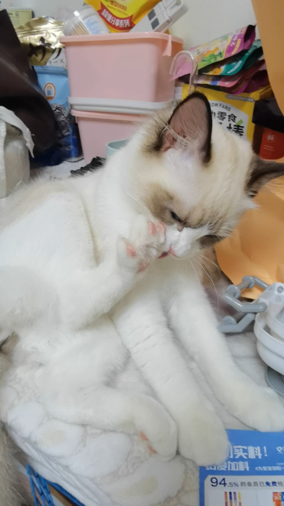 哈哈哈哈好玩