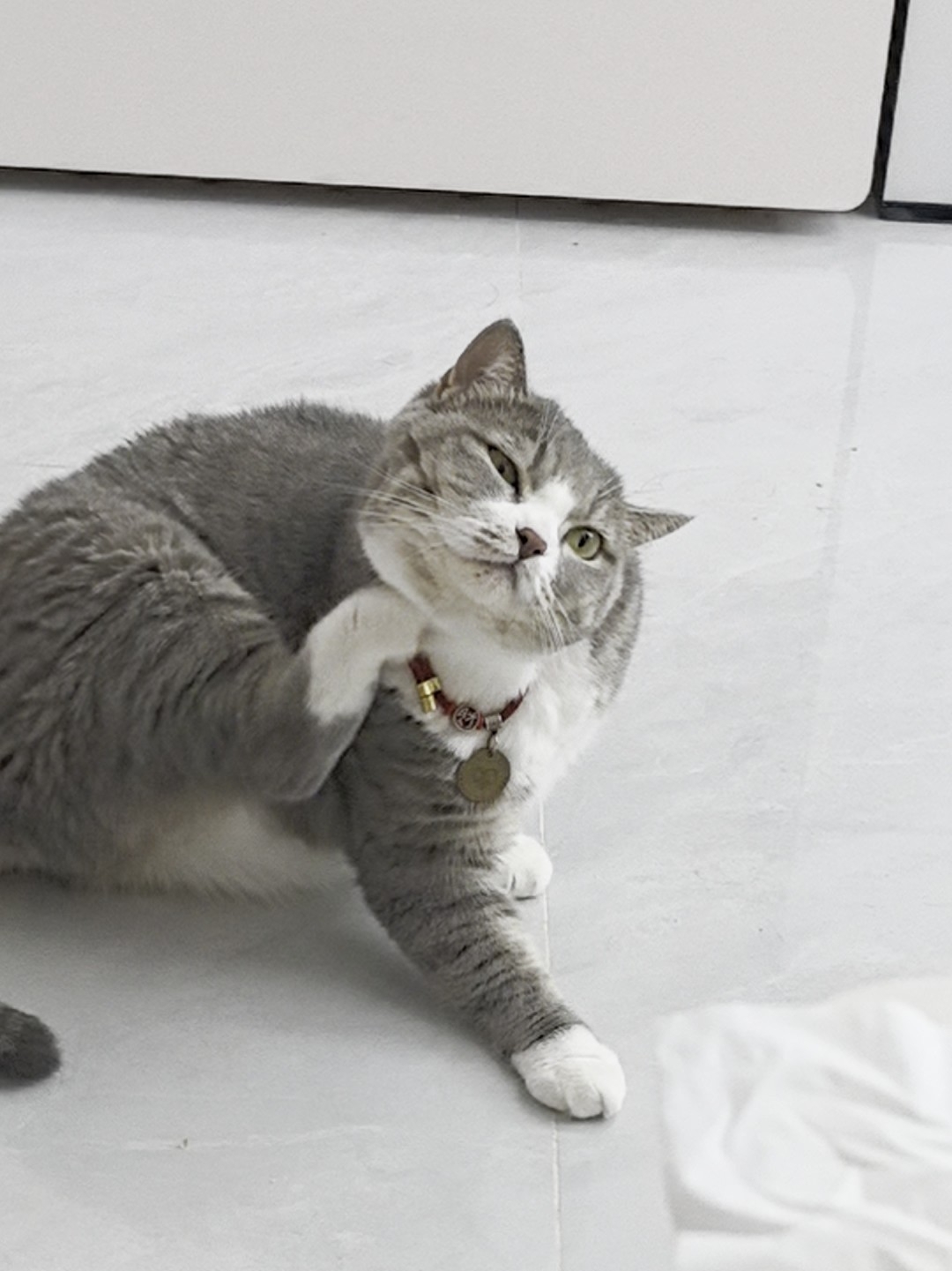 11挠痒痒