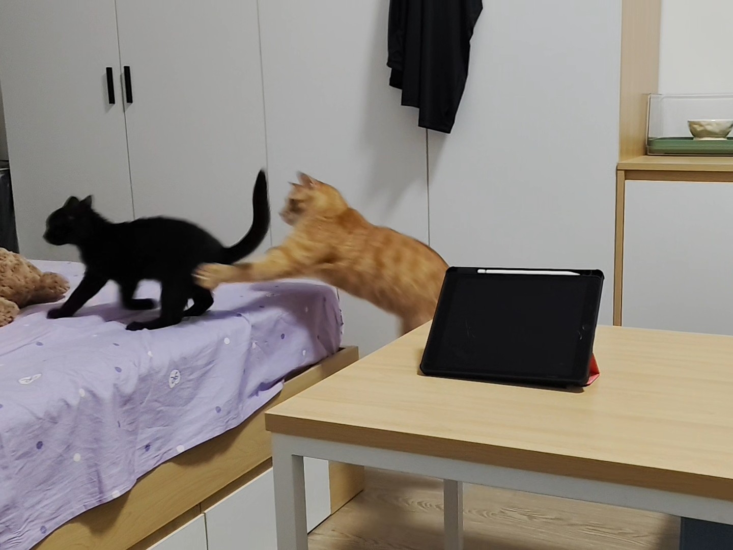 玩耍