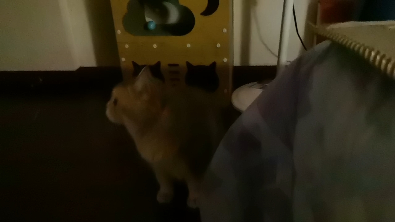 7.15今今