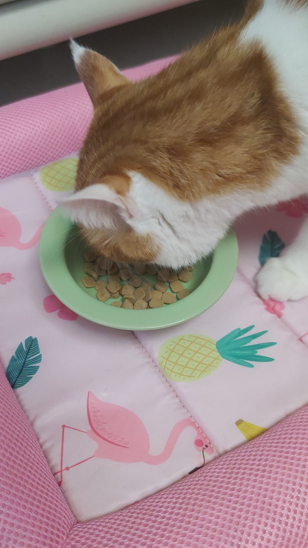 吃饭