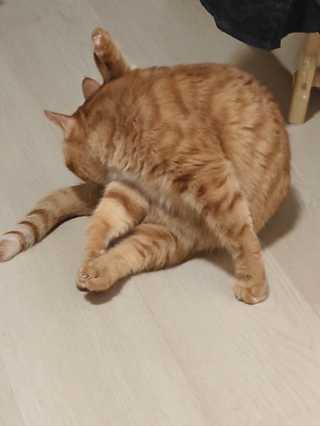 大黄条子