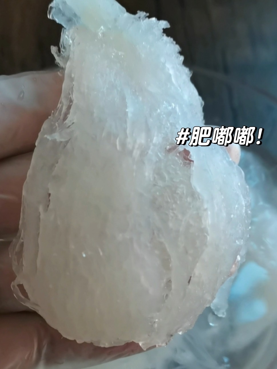 多么痛的领悟！肥嘟嘟的燕窝泡发从品质开启