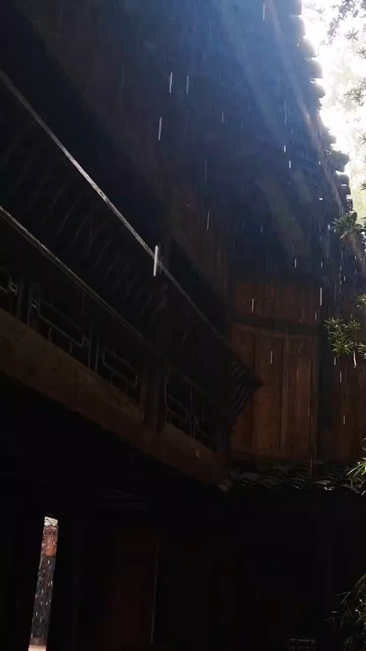 【随拍】