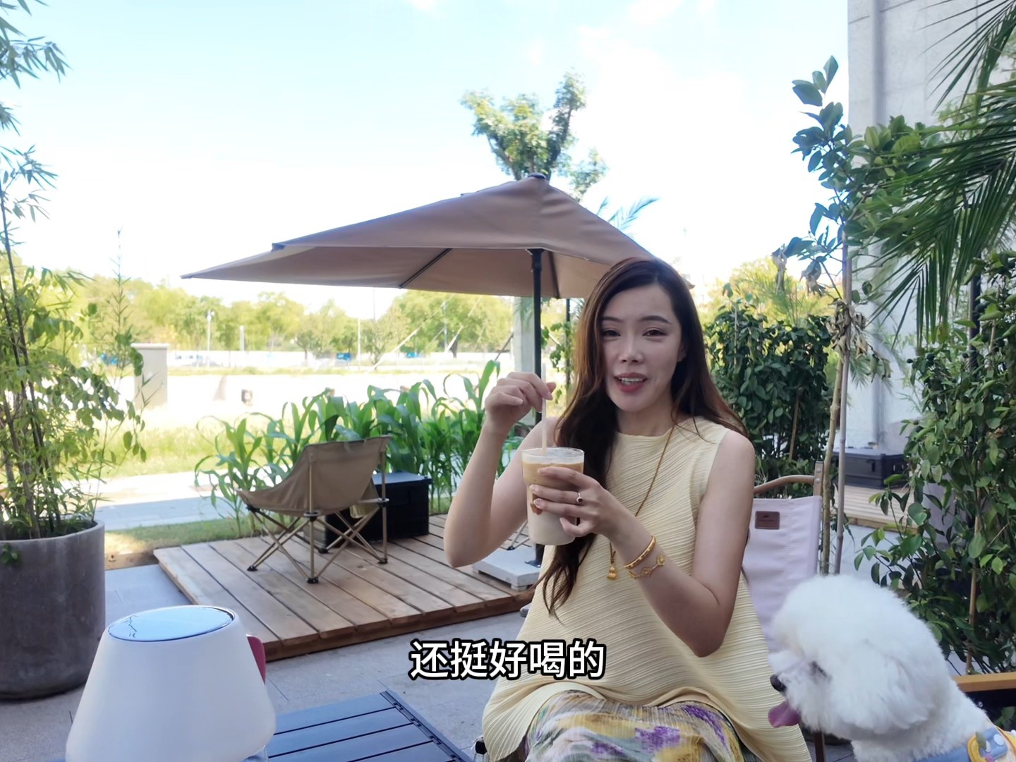 从百年酱园到古华亭：奉贤半日遛宠、喝咖啡、寻浪漫 tag#奉贤#鼎丰酱园#周末去哪#古华庭#宠物友好#奉贤婚姻登记处
