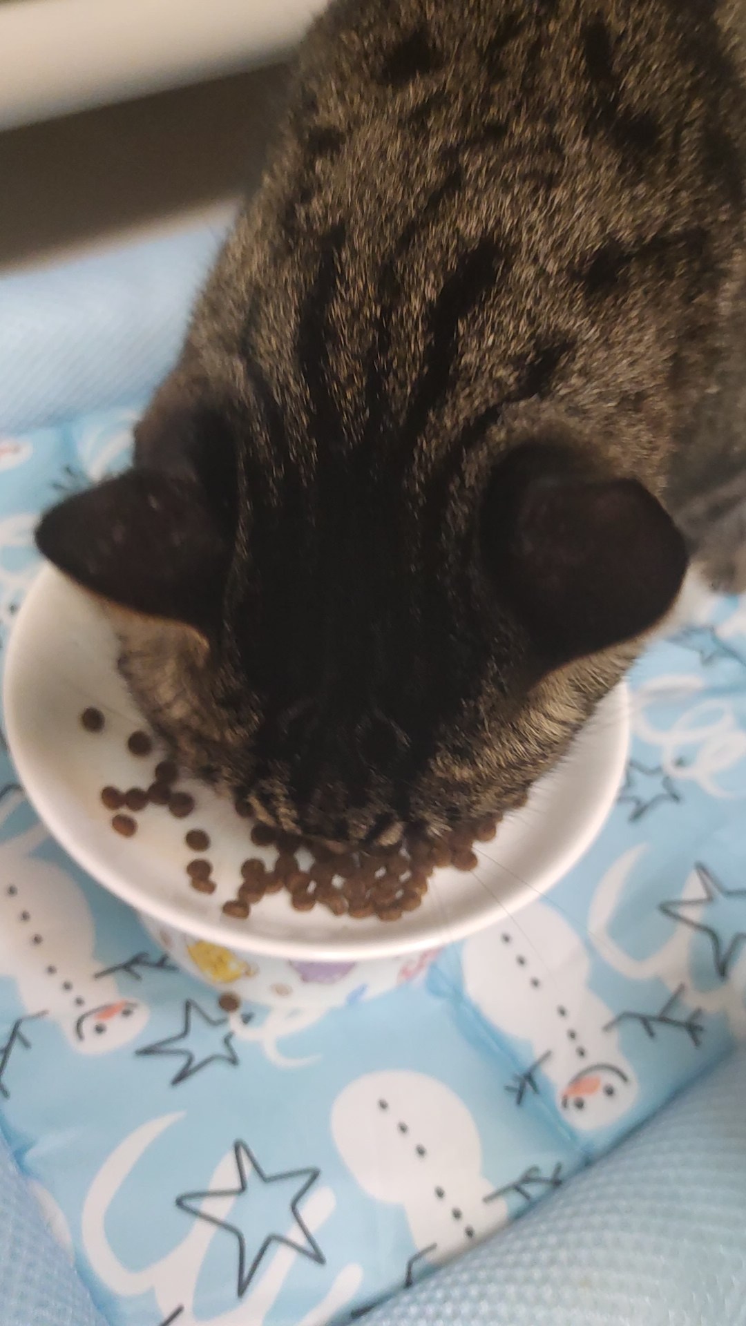 开饭