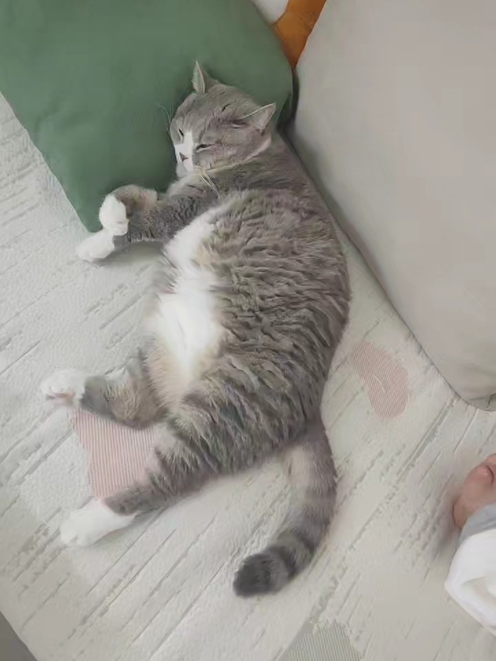 12睡姿