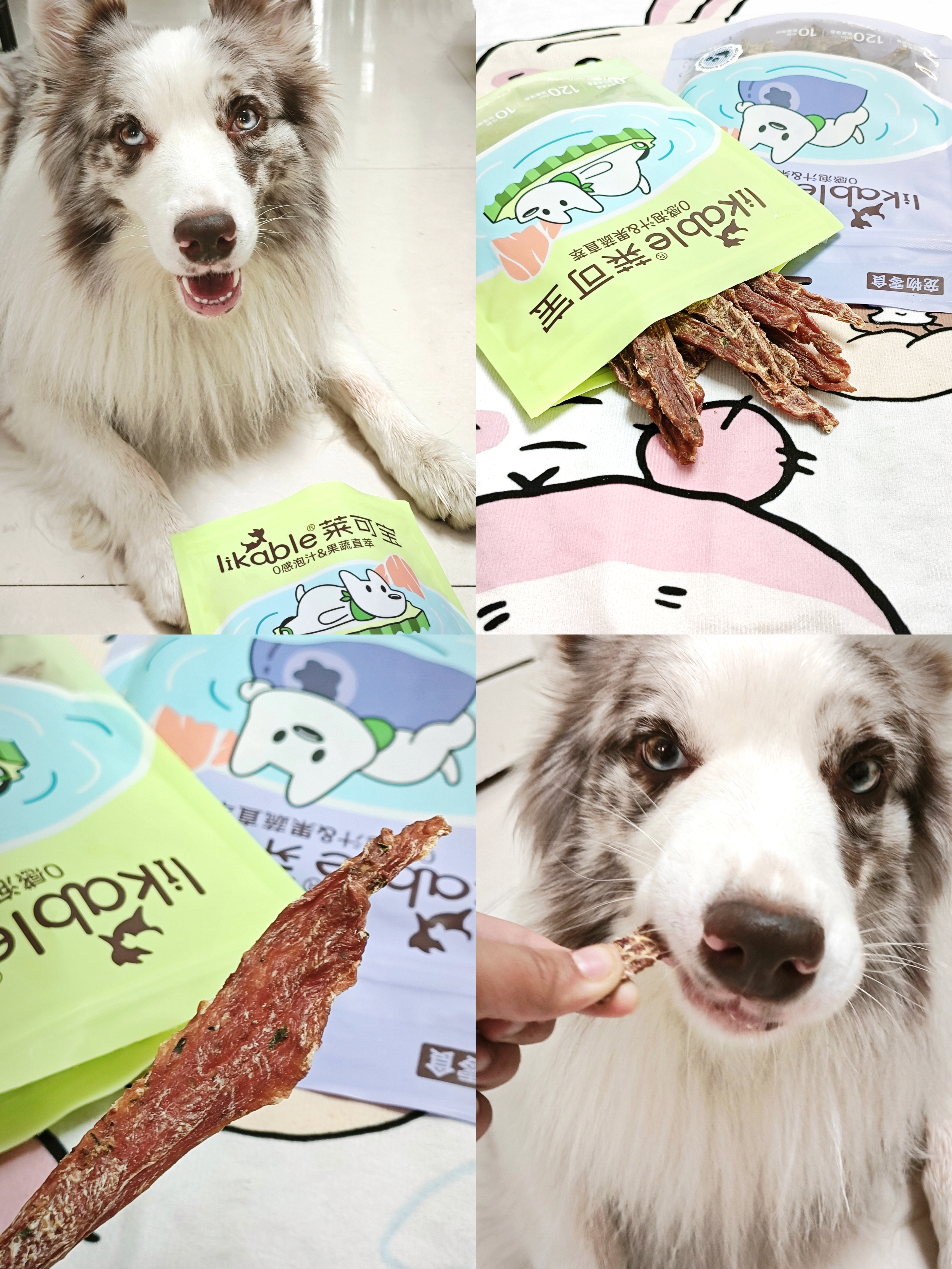 ⁺⁎˚🦴˖º·小狗零食记🐾•