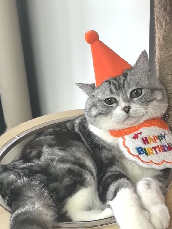 14生日快乐
