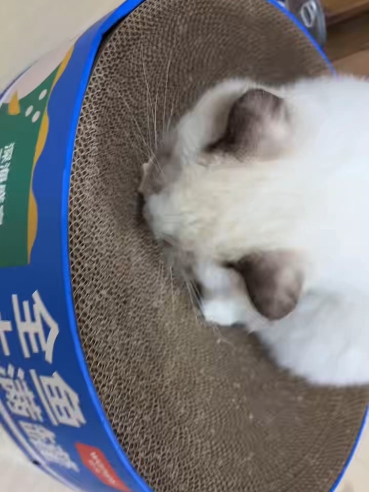 15。好吃的