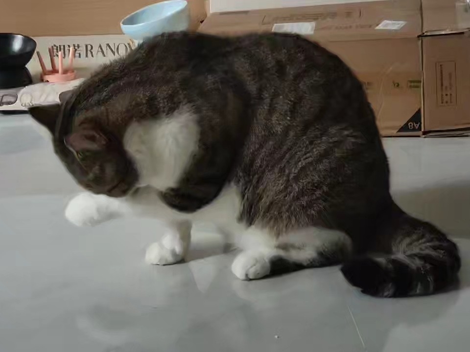 16洗脸