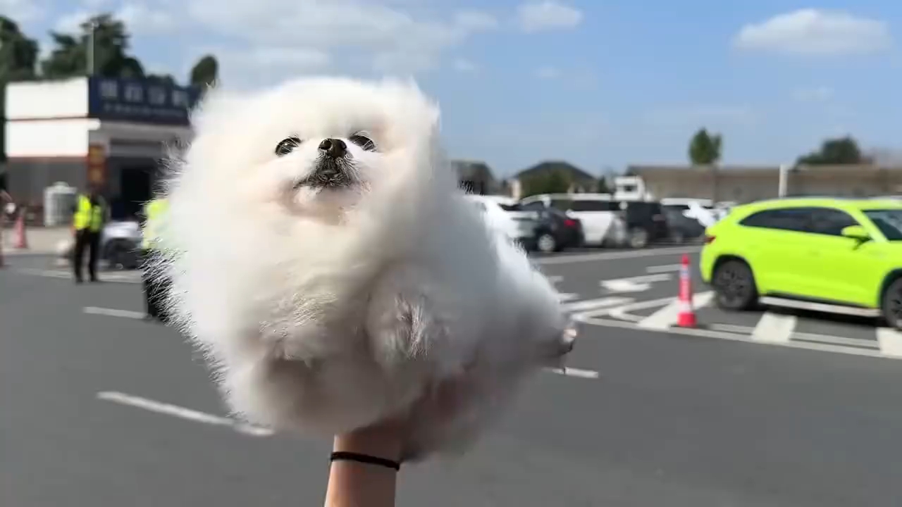 起飞了