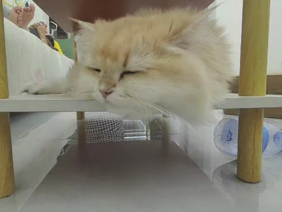 18睡觉
