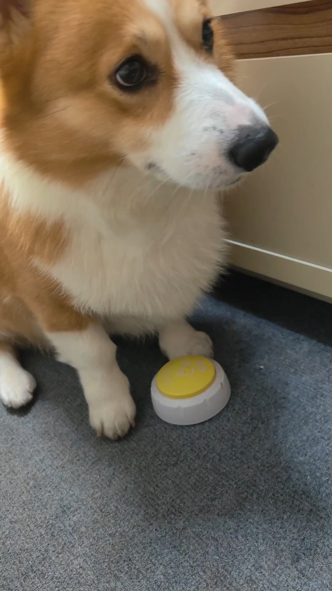 别按了宝