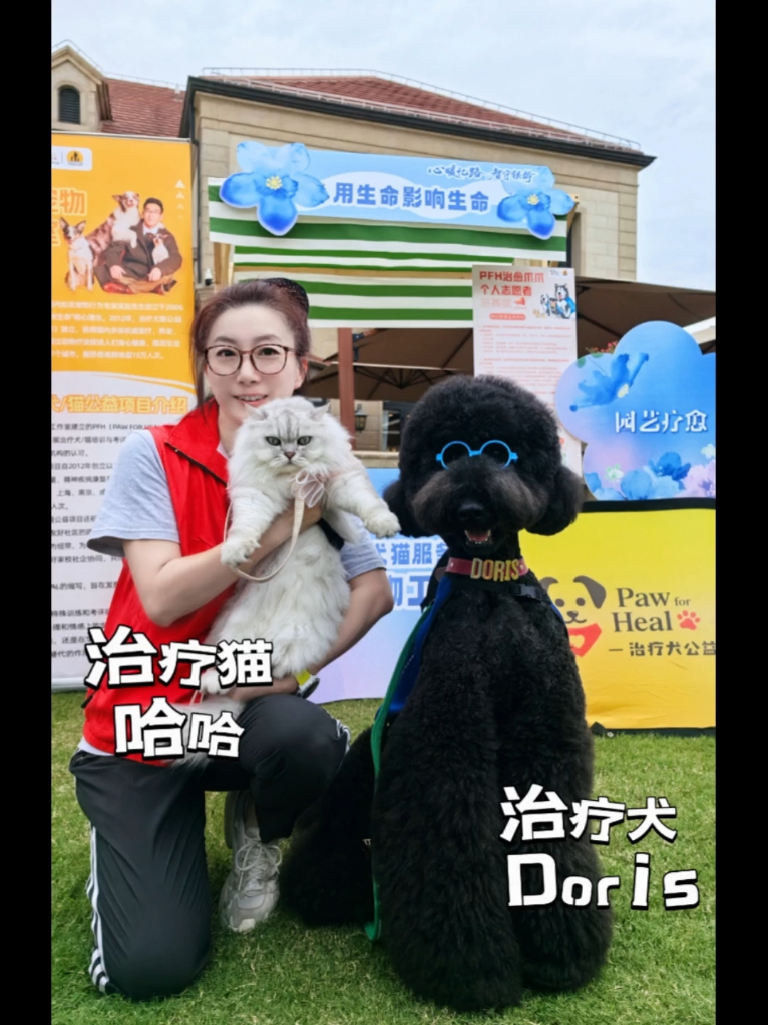 带你进入治疗犬/猫的世界