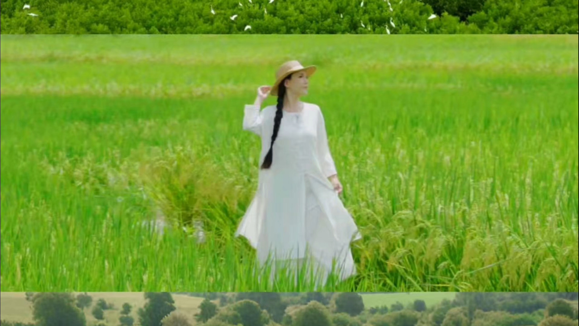 罗源松山镇 · 山海间的畲乡秘境｜ 1500亩红树林摇曳，海上栈道蜿蜒。走进八井畲村，柴扉轻启，山风伴茶香；衣上彩凤飞舞，银铃清脆，一针一线绣着凤凰的传说。竹里村鼓乐喧天，跳竹竿、打糍粑、长桌宴，畲味正浓。 · 转身潜入罗源湾的深蓝梦境：海底隧道、梦幻水母、海豚逐浪，借海的翅膀飞行。再看“天下石，罗源工”，寿山石雕从山海走向世界。 · 松山的故事，一半在畲乡的山风里，一半在海洋的呼吸中。罗源松山镇...