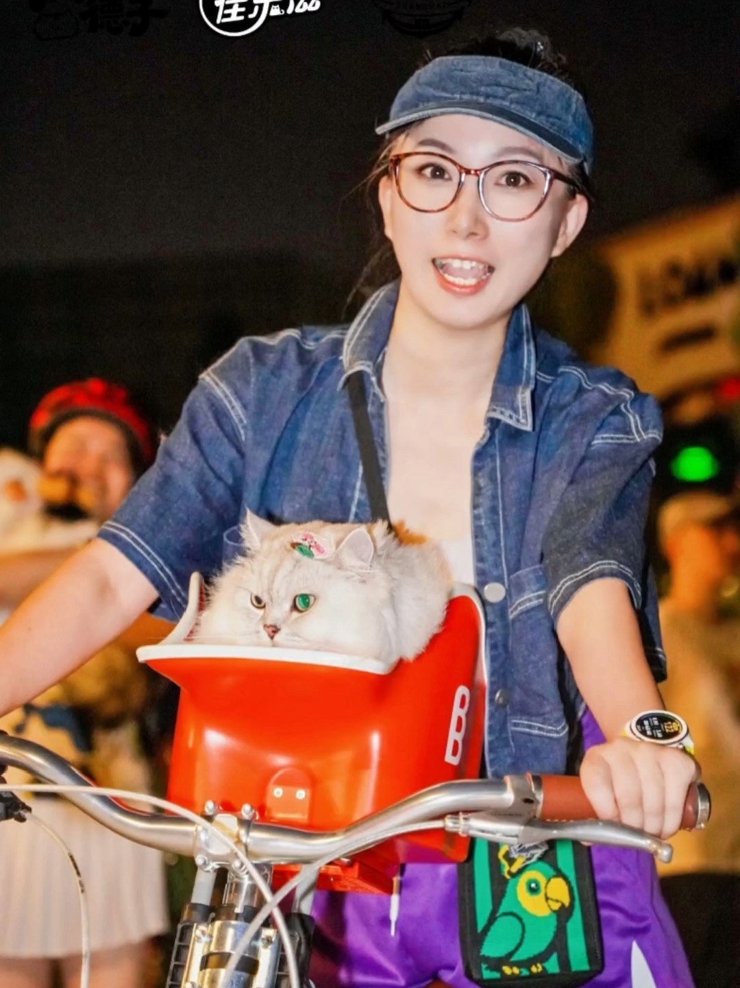 喵喵喵夜骑