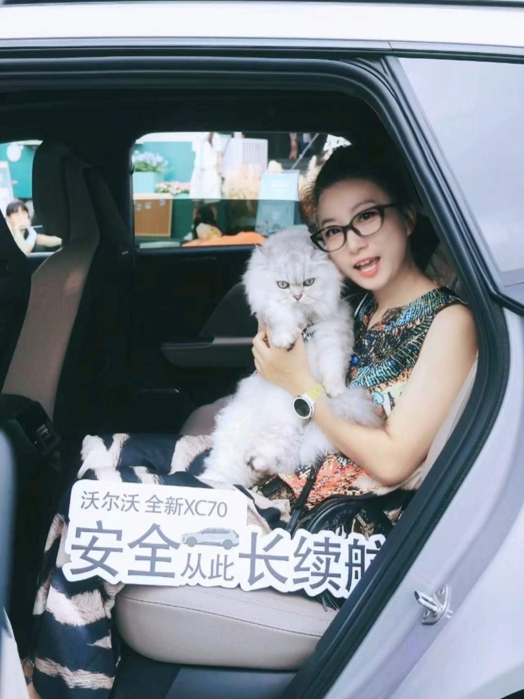 🐱: 你是要给咪买新车吗？