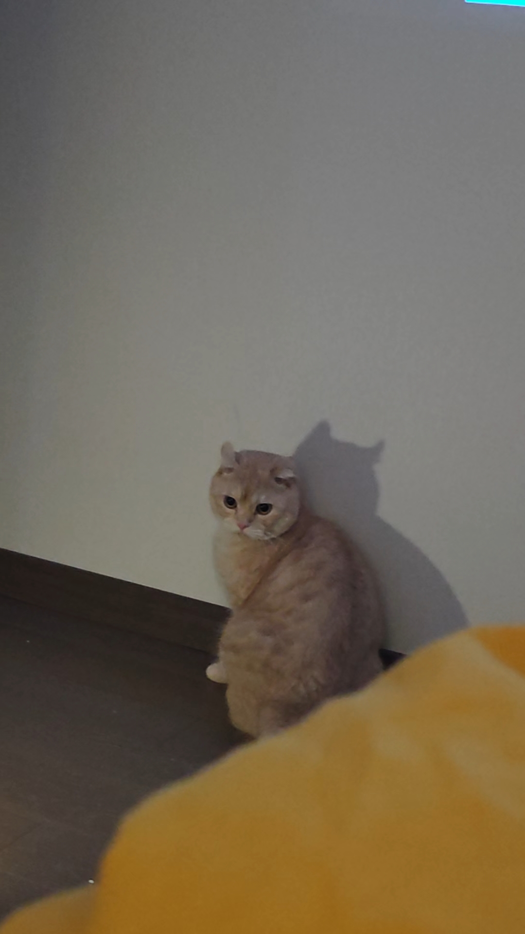 10.13