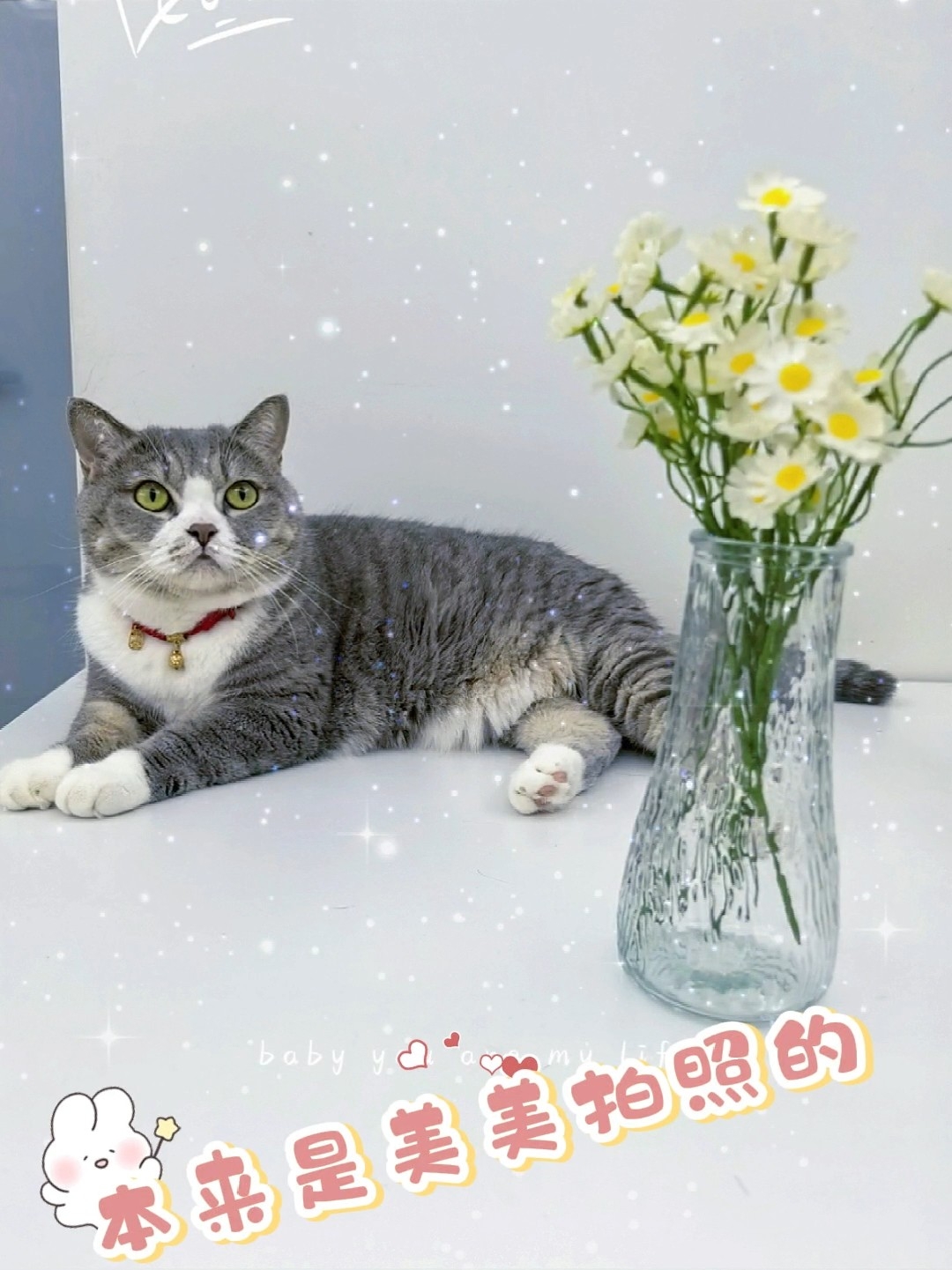 13嫌弃弟弟