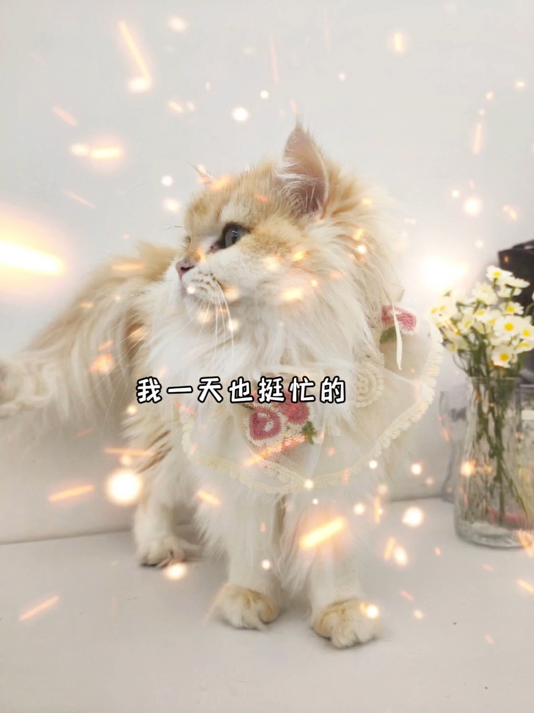 13忙着惹我生气
