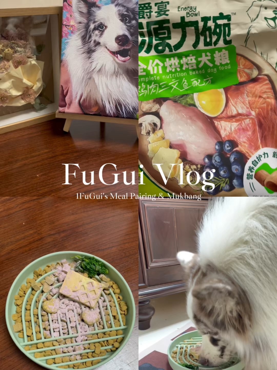 ⁺⁎˚🦴富贵日食记｜源力碗🐾