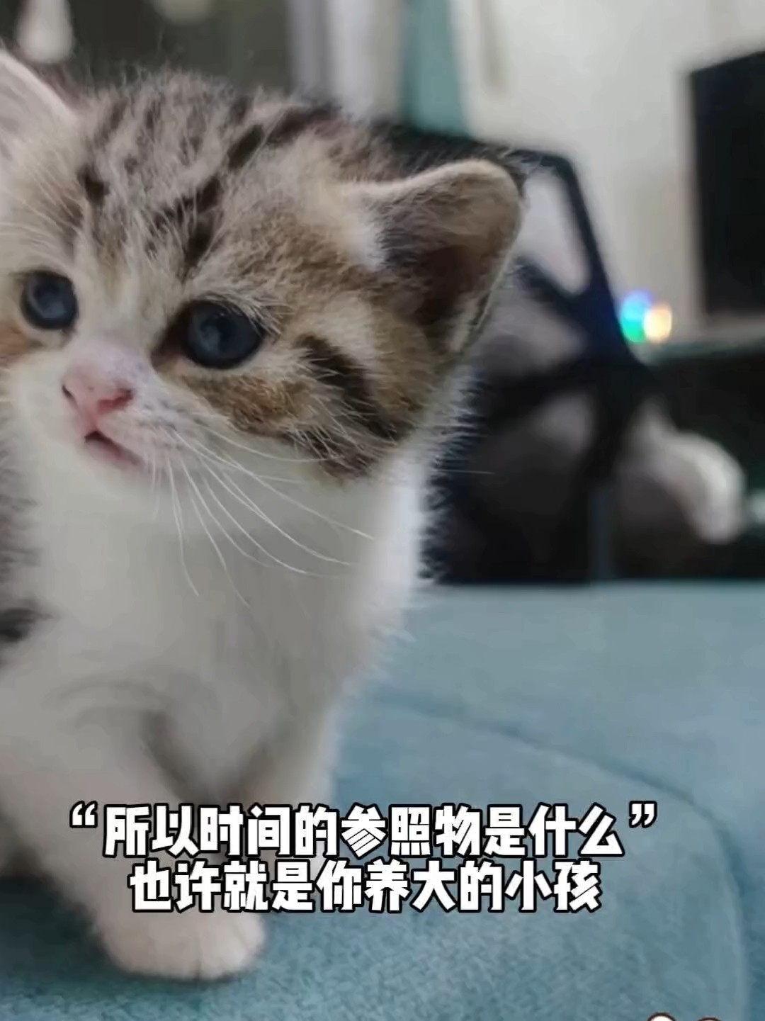 16时间过得真快