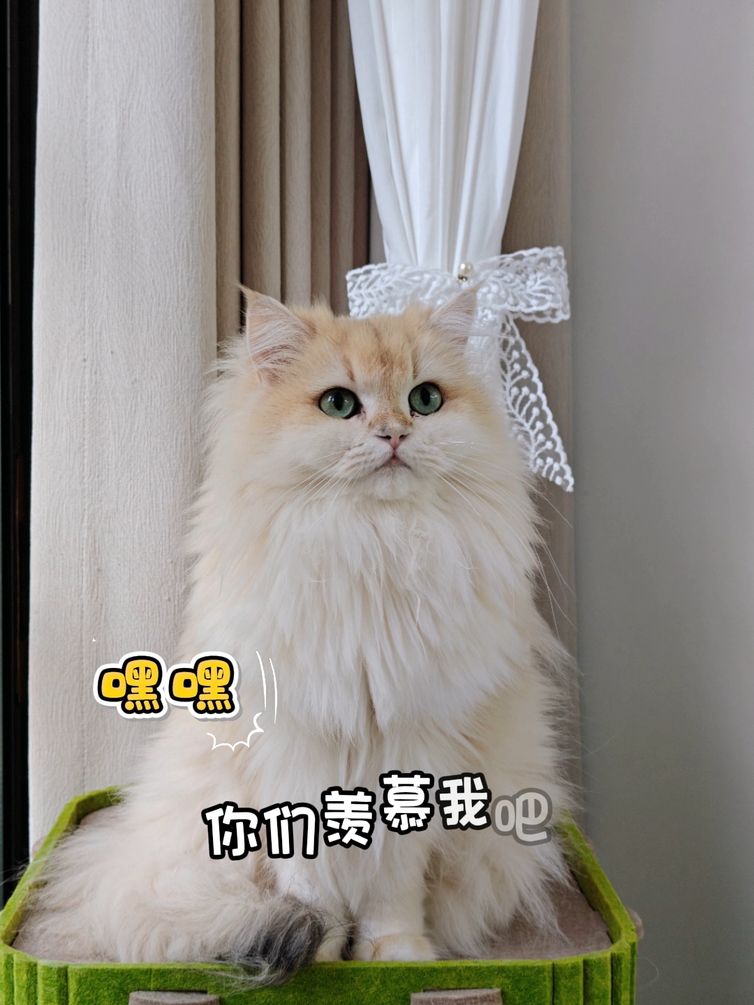 16羡慕吧