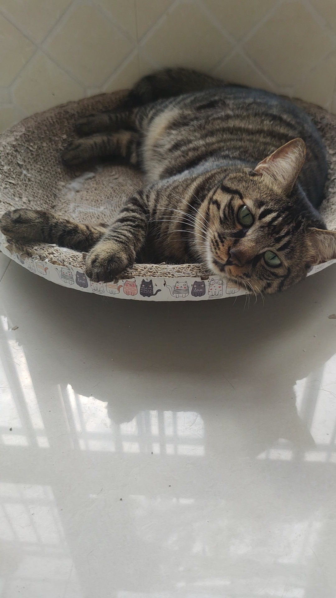 懒洋洋
