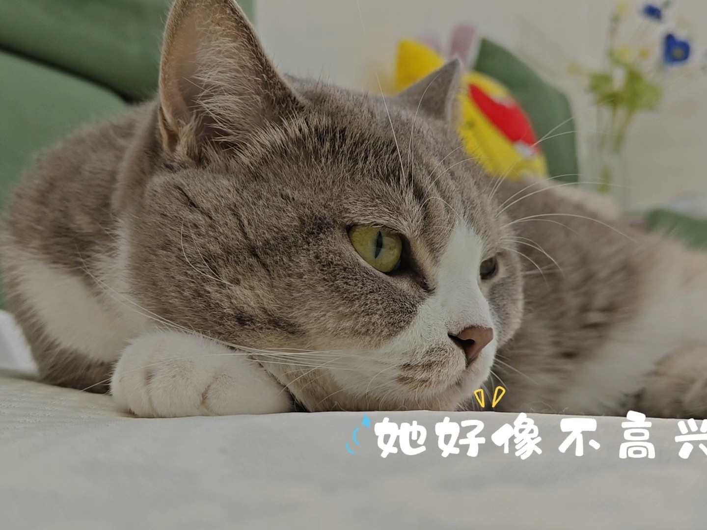 18怎么不开心