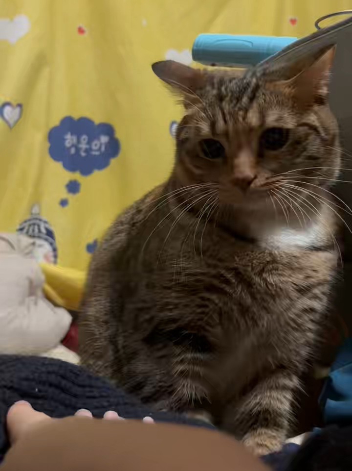 她无语的看着我18