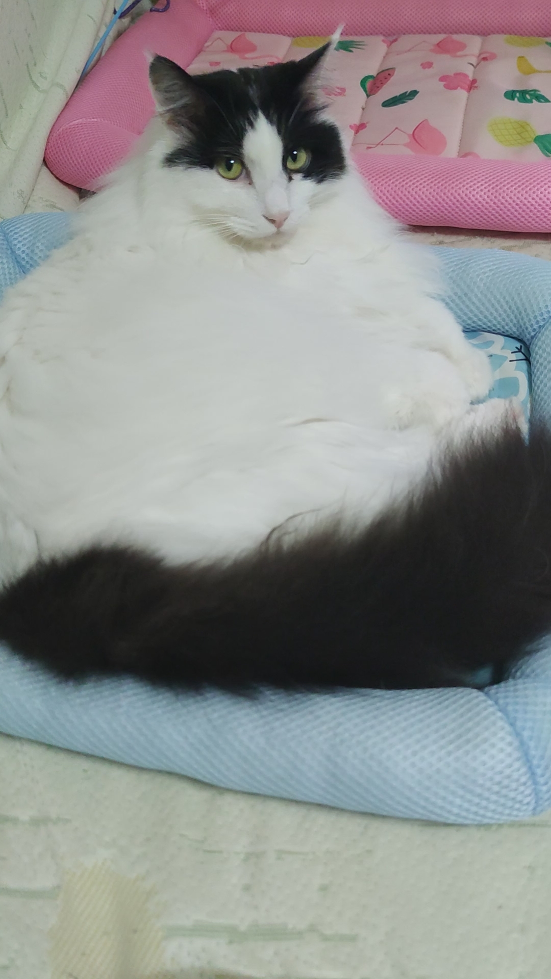 小宝宝乖乖