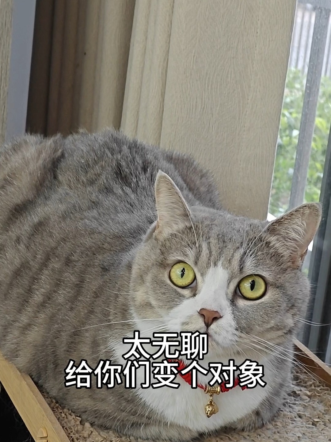 送大家一个对象