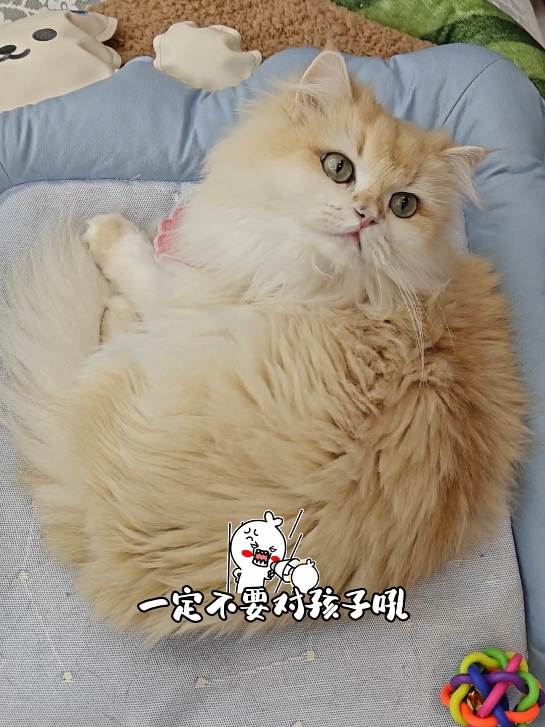 劳资蜀道山