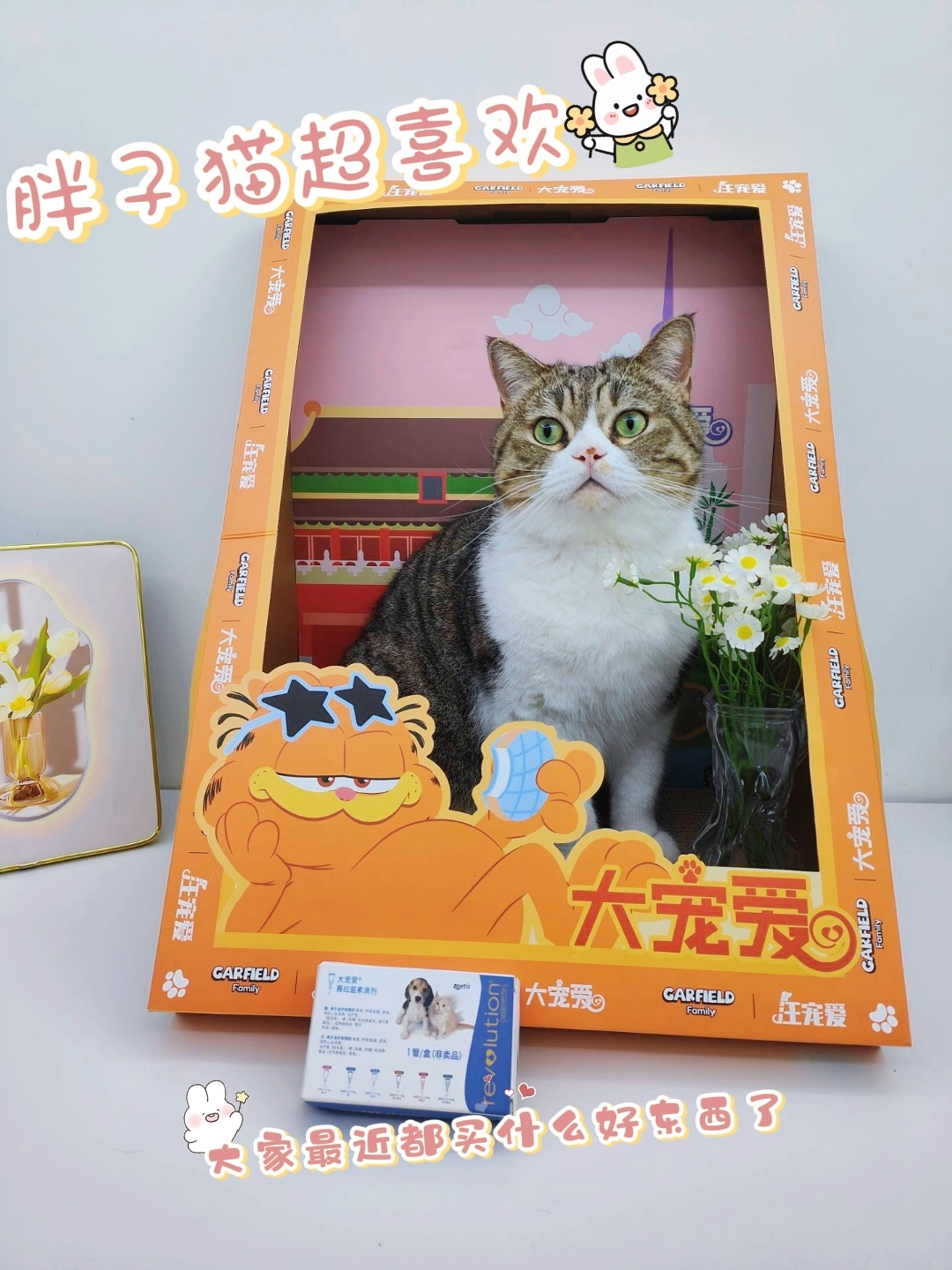 养宠人的双十一