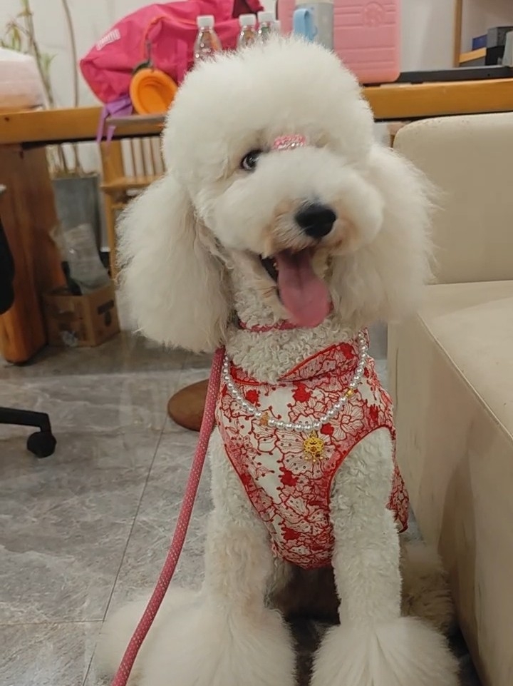 综艺拍摄也是要漂漂亮亮的