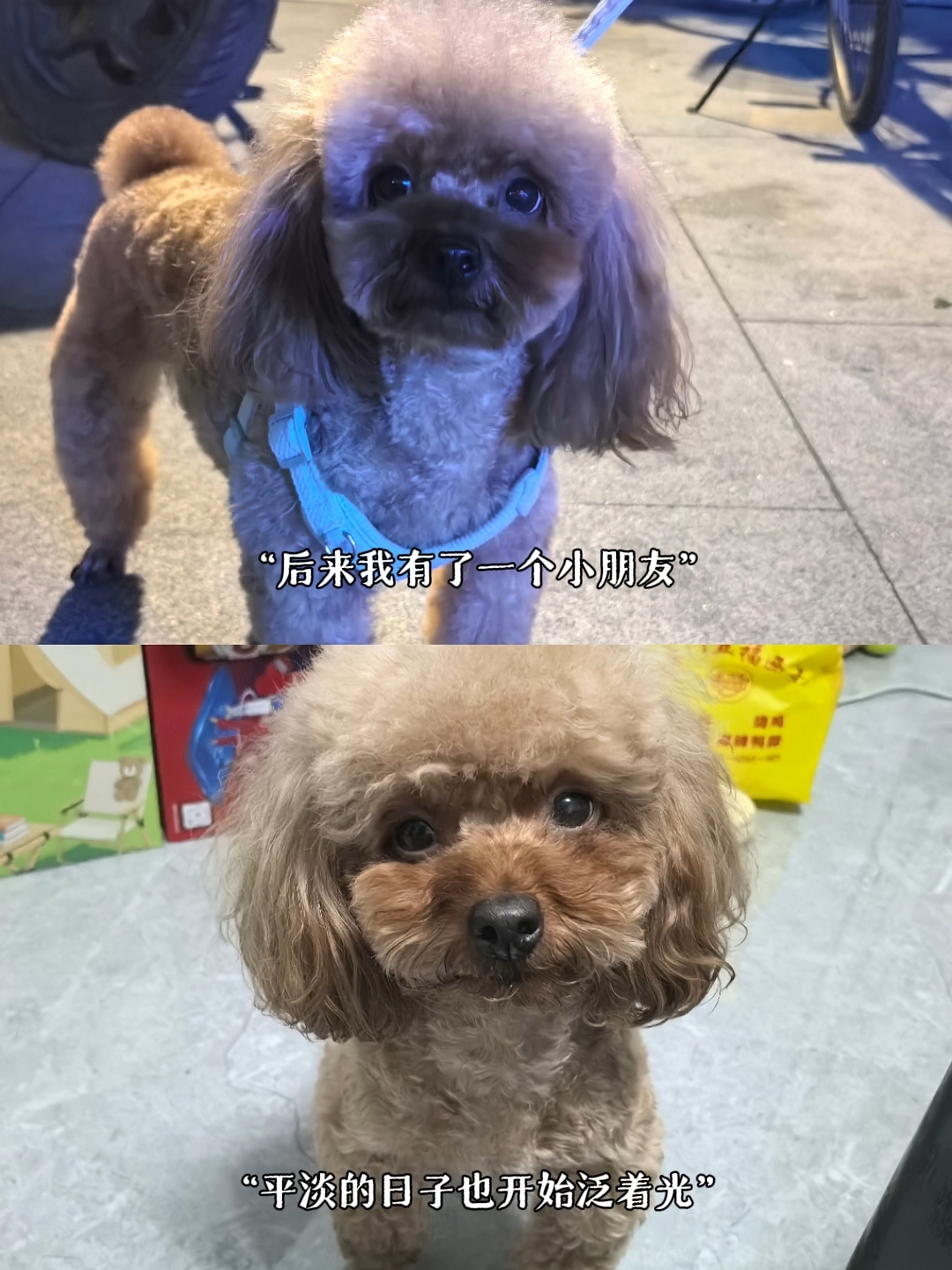 我知道你会在我身边