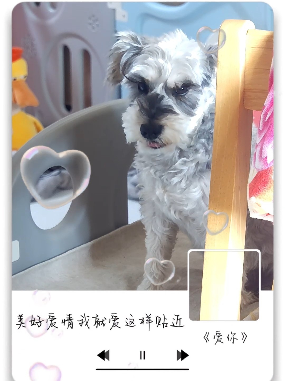 就这样爱你爱你爱你随时都要在一起